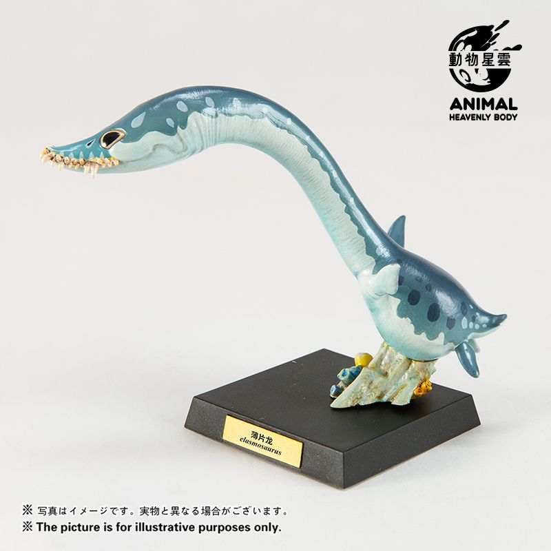 Round Paleontology Series 5: Thin-skinned Dragon & Mosasaurus & Liopleurodon