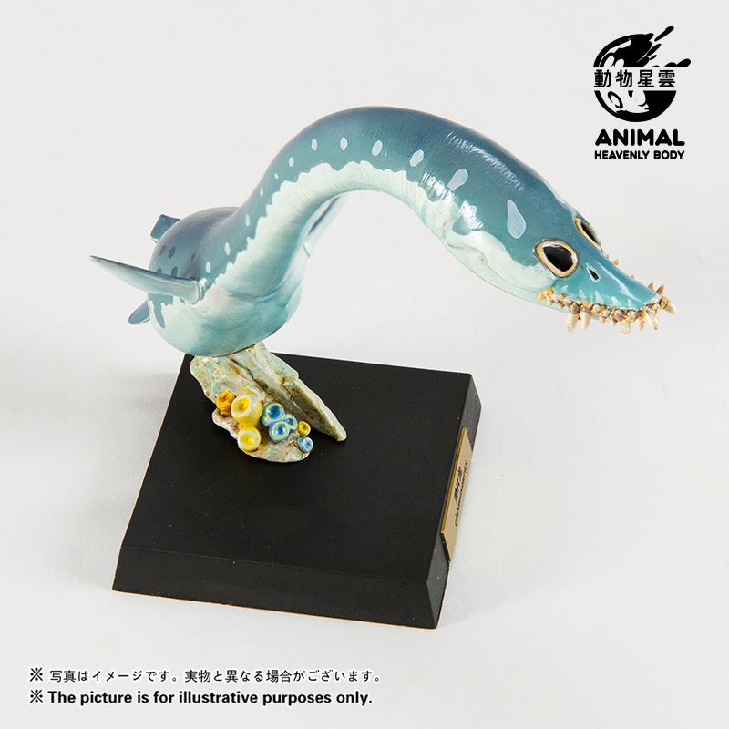 Round Paleontology Series 5: Thin-skinned Dragon & Mosasaurus & Liopleurodon