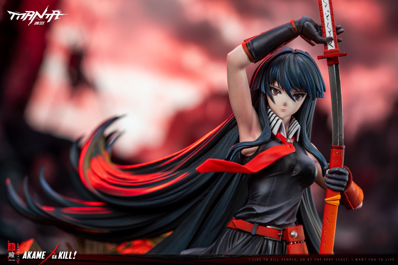 Night Raid - Akame Ga Kill!