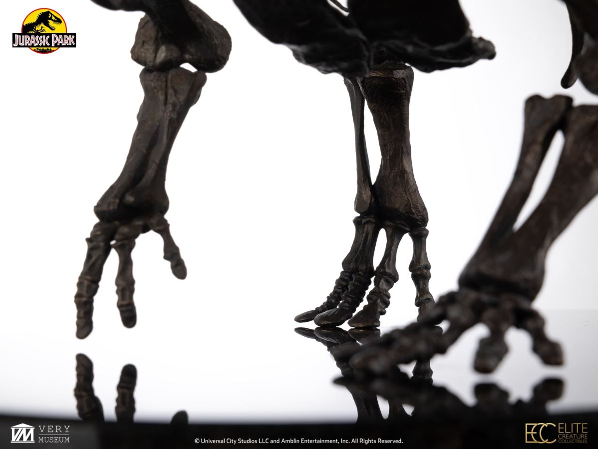 Triceratops Fossil Skeleton