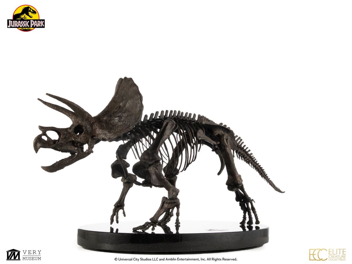 Triceratops Fossil Skeleton