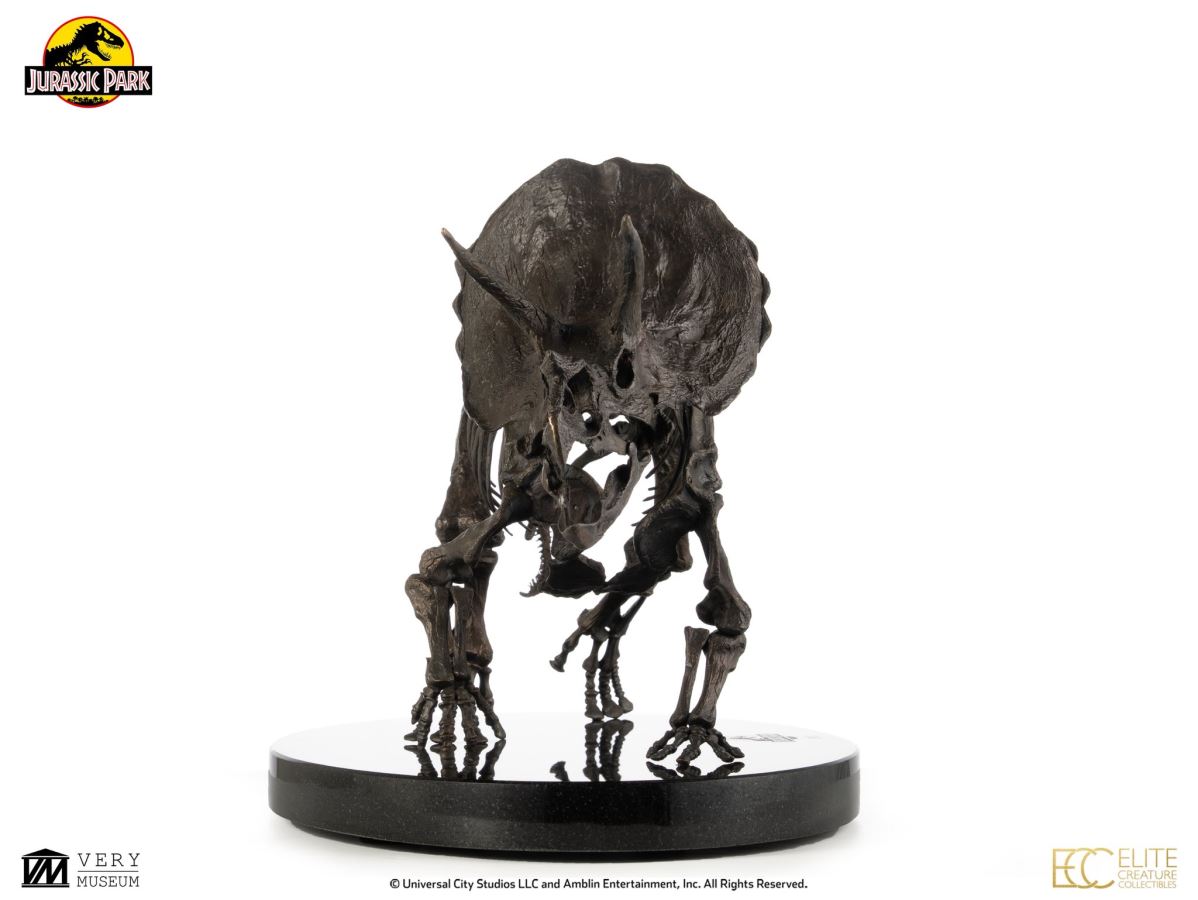 Triceratops Fossil Skeleton