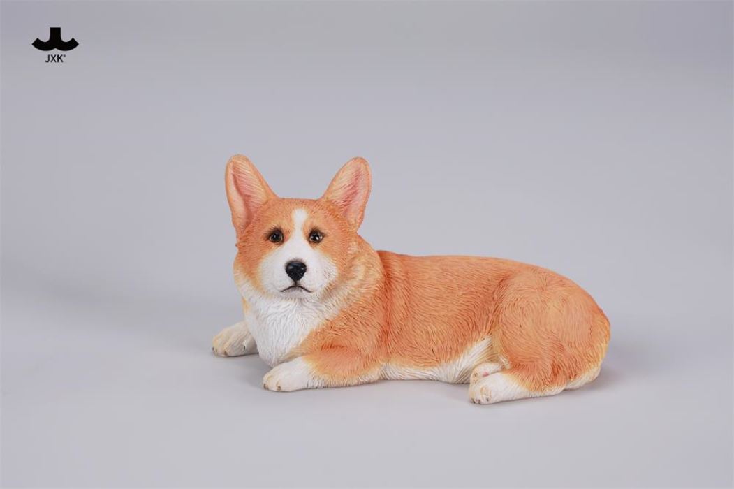 Lazy Corgi
