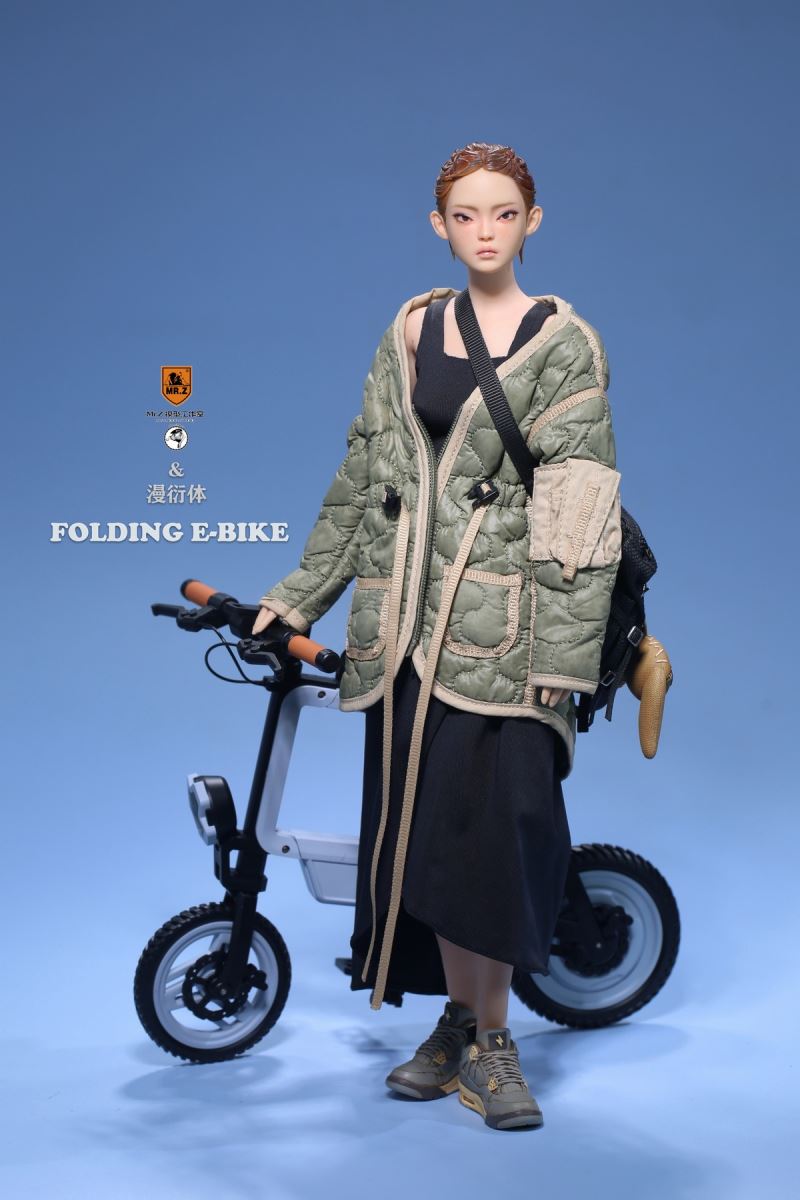 Folding Bicycle 1/6