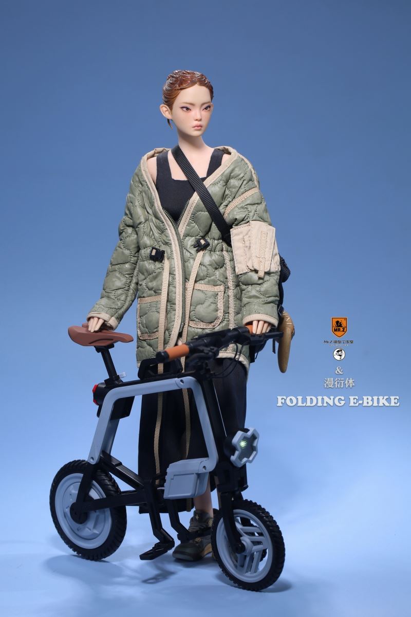 Folding Bicycle 1/6