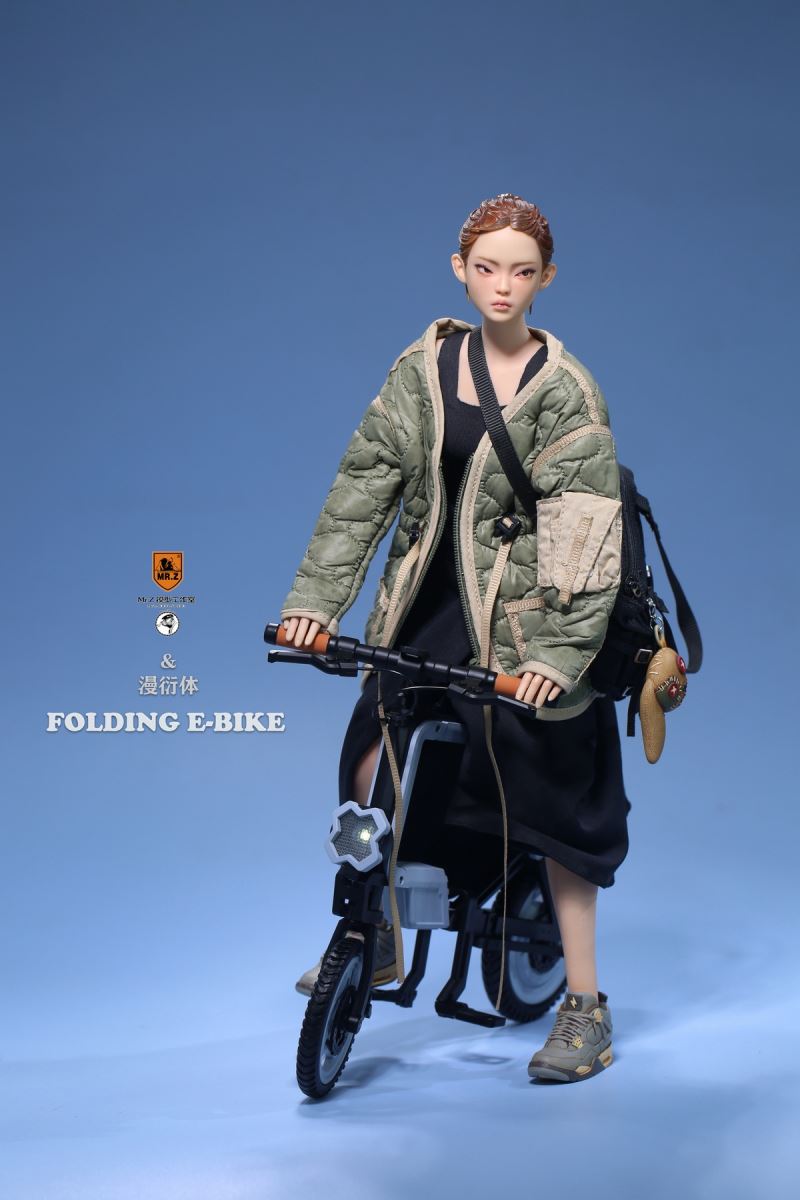 Folding Bicycle 1/6