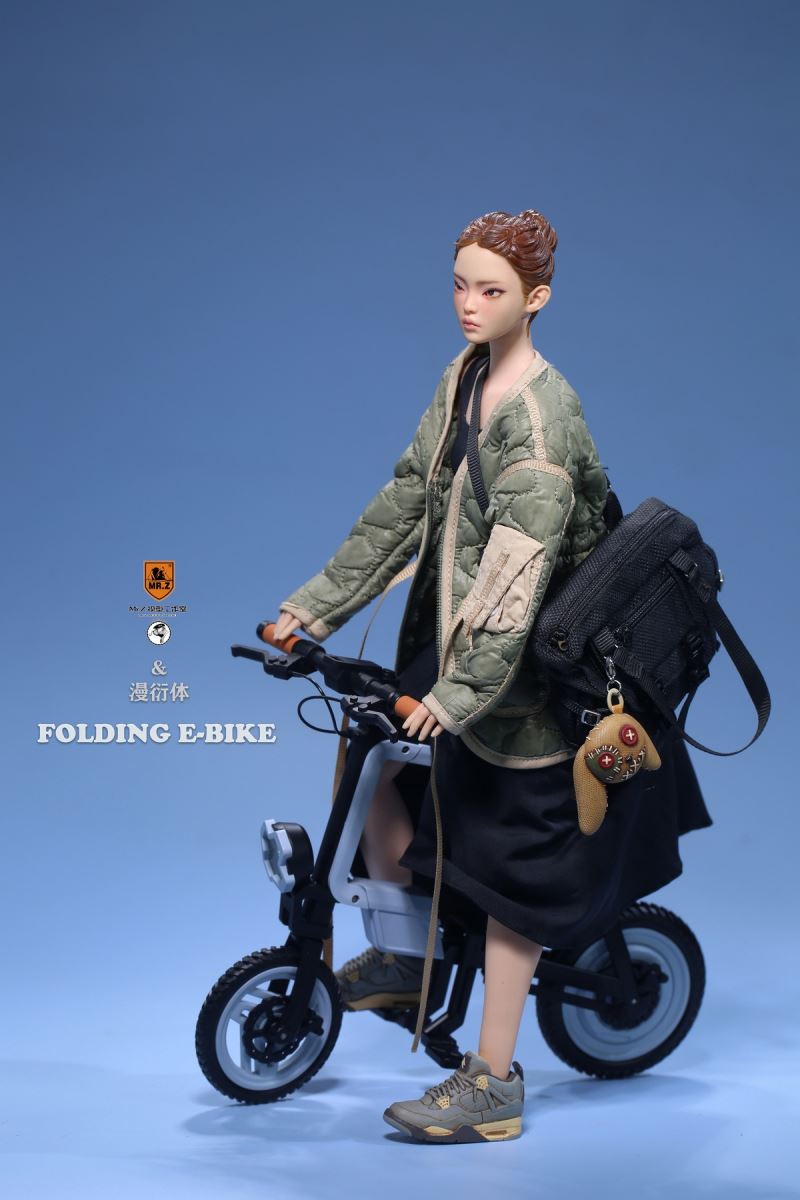 Folding Bicycle 1/6