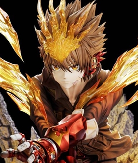 Sawada-Tsunayoshi-Reborn-16
