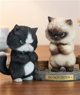 Boom-Boom-Baba-Cat