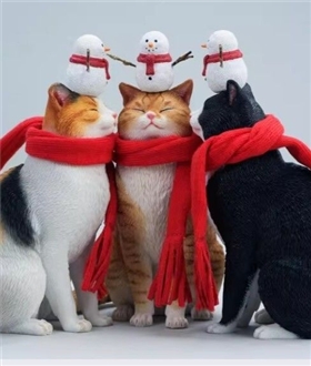 Winter-Corner-Warm-Cat