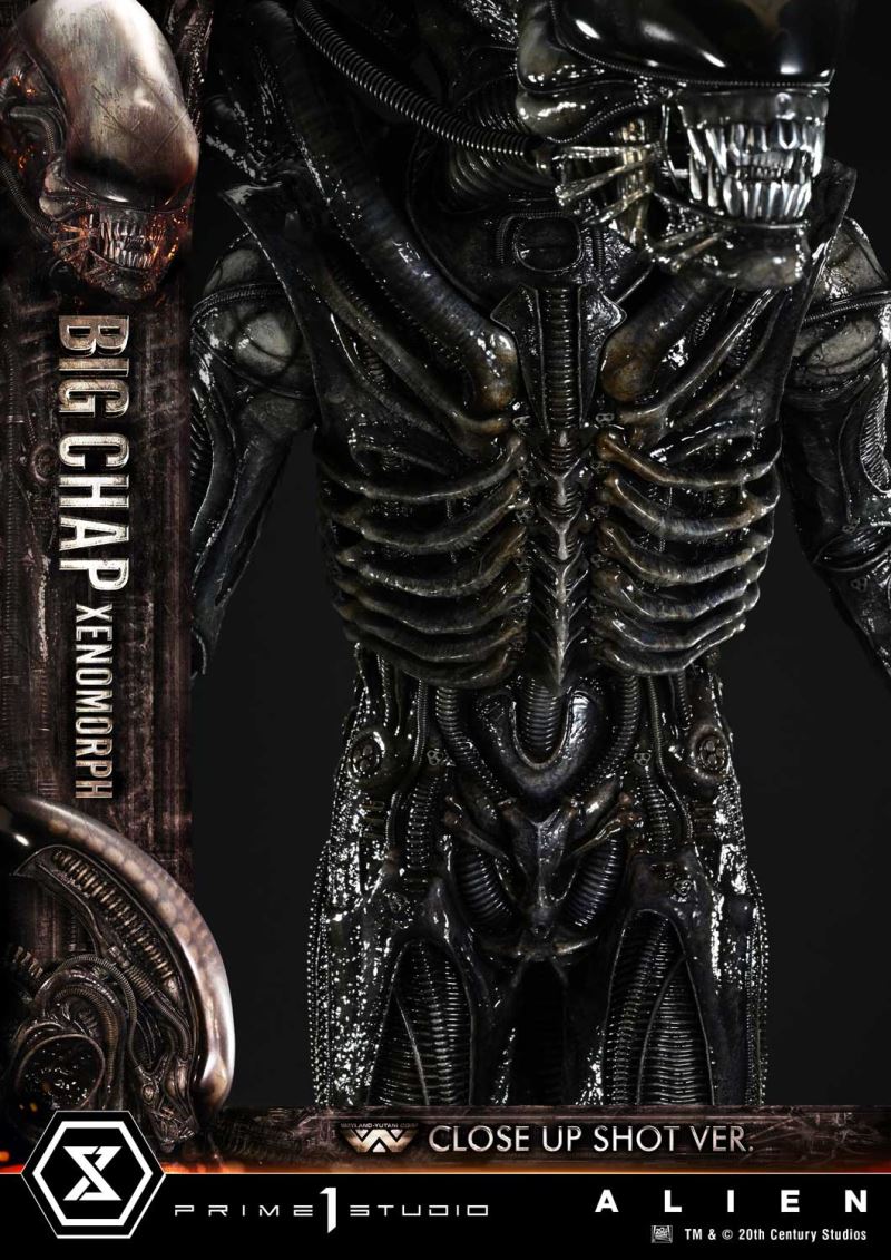 Alien Big Chap Xenomorph Close Up Shot Ver