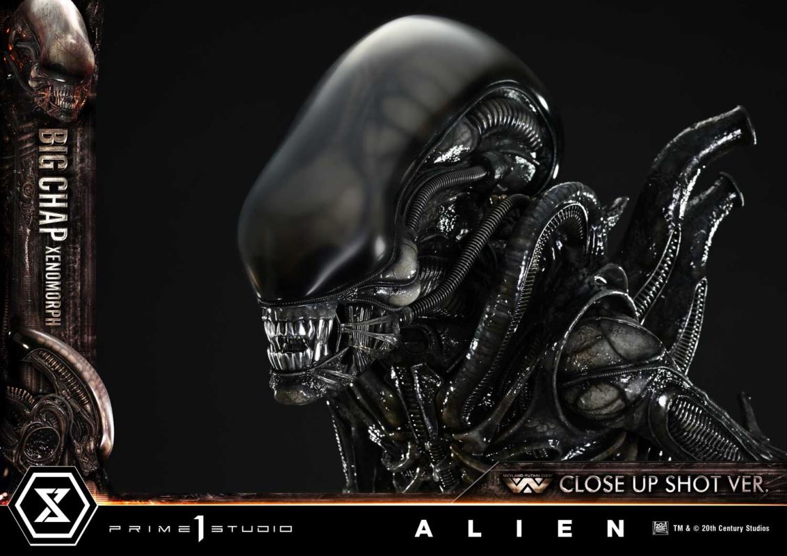 Alien Big Chap Xenomorph Close Up Shot Ver