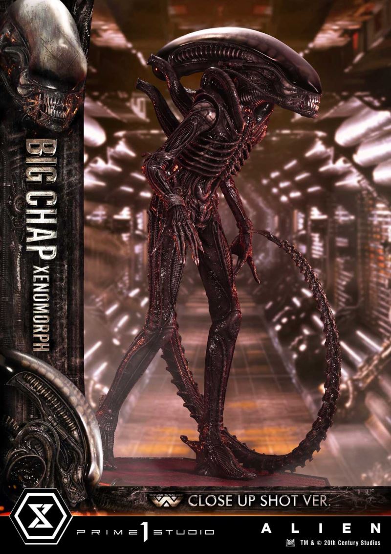 Alien Big Chap Xenomorph Close Up Shot Ver