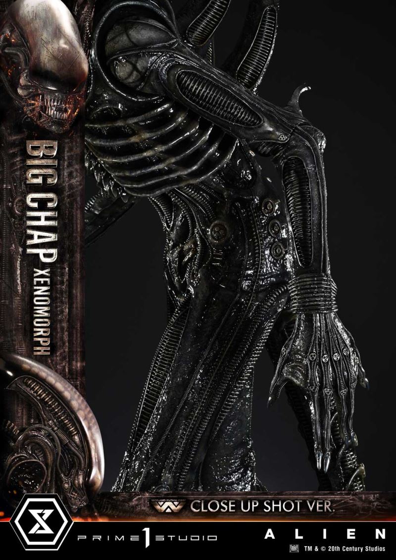 Alien Big Chap Xenomorph Close Up Shot Ver