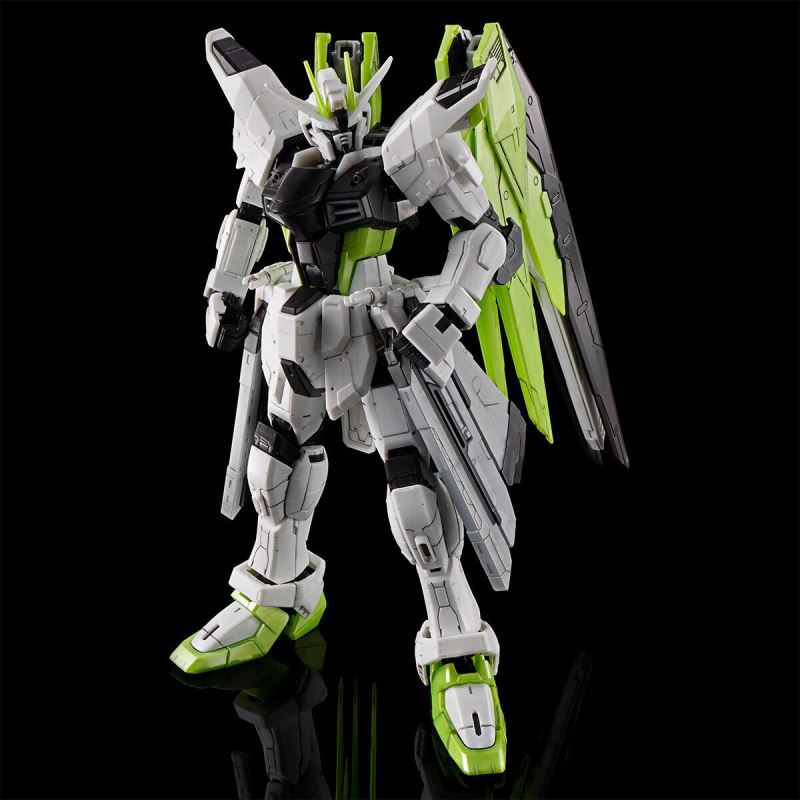 RG 1/144 Freedom Gundam -APEX LEGENDS(TM) Crypto Ver