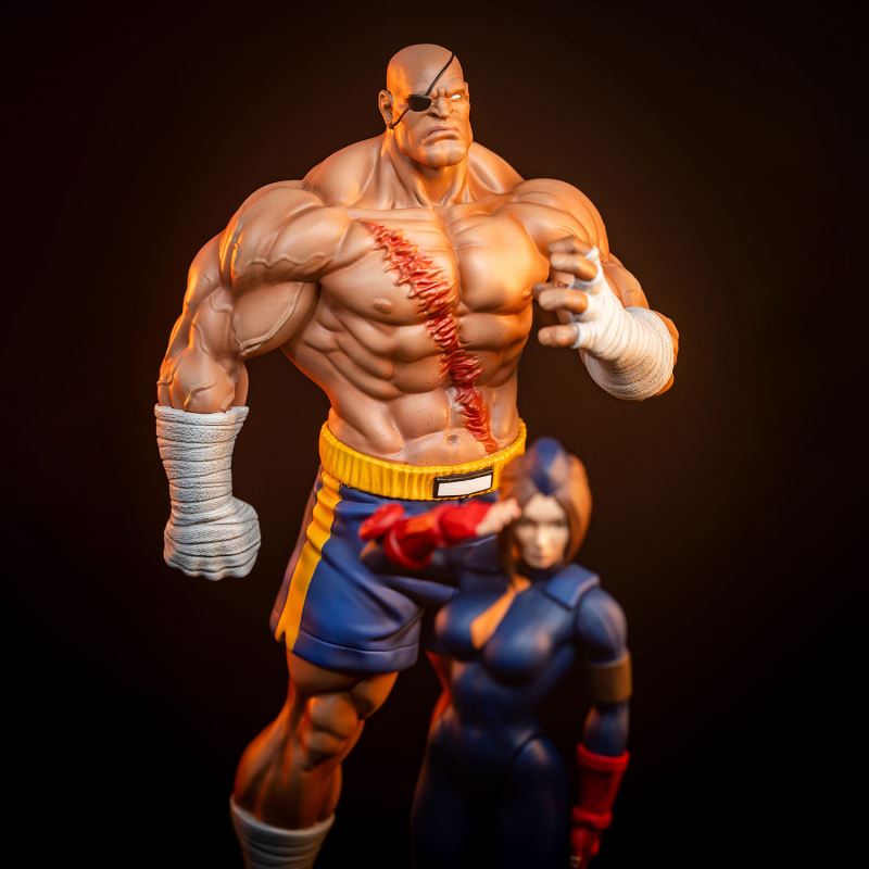 Sagat & Juli