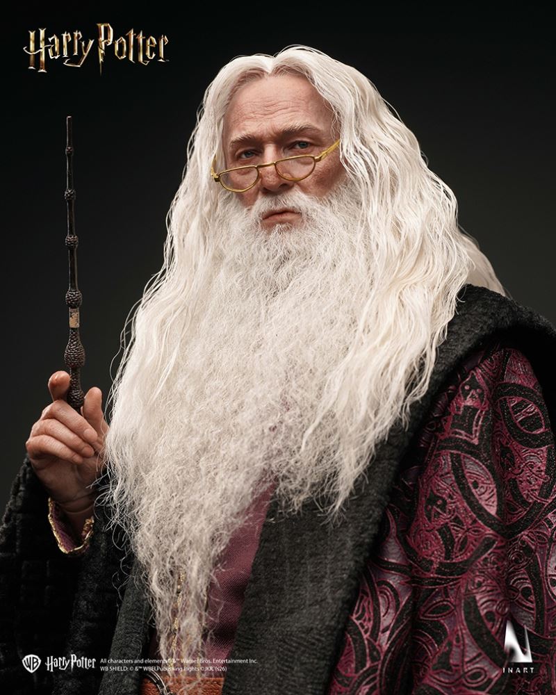 Albus Dumbledore - Harry Potter 1/6