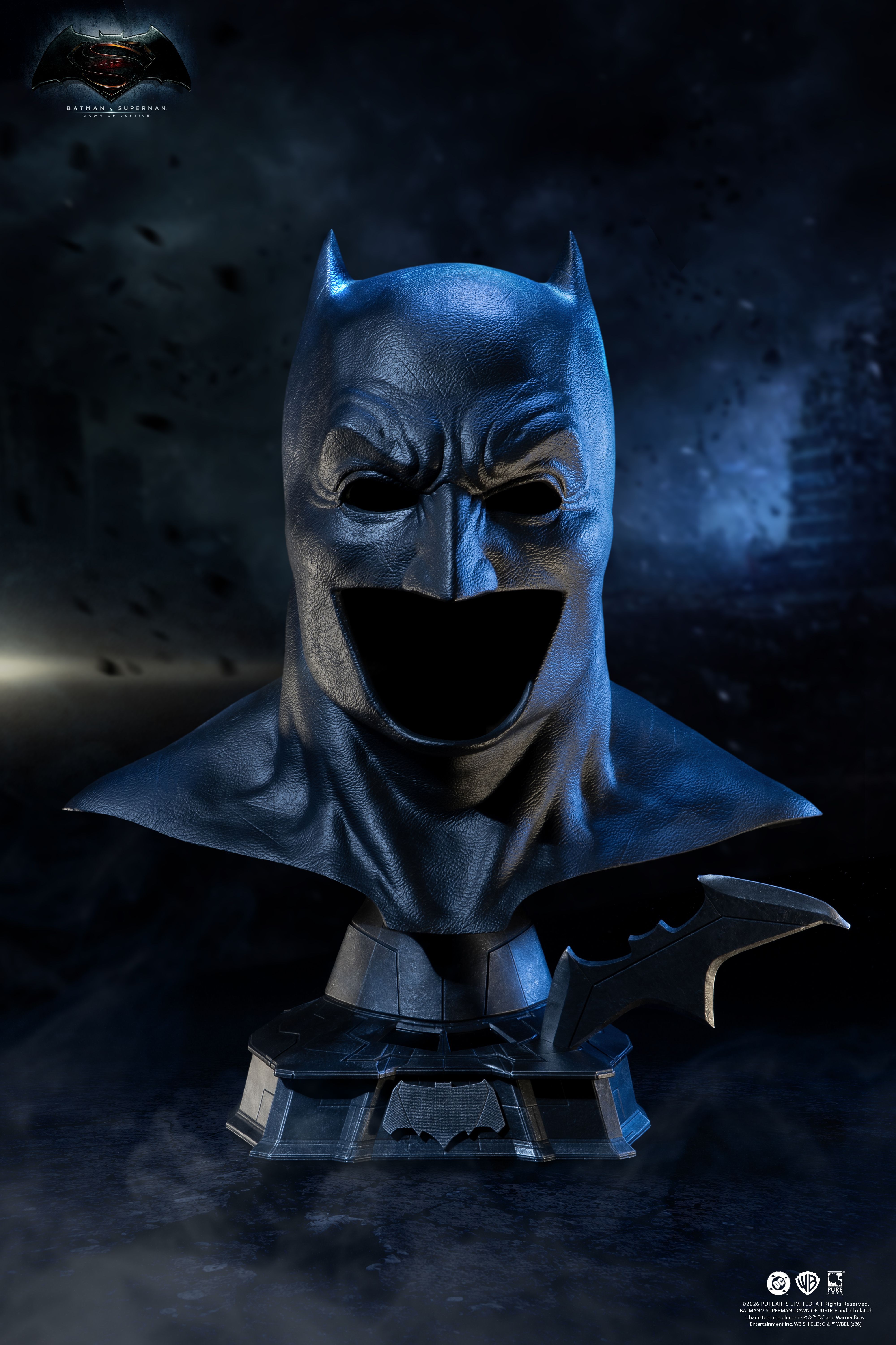 Batman Hooded Mask