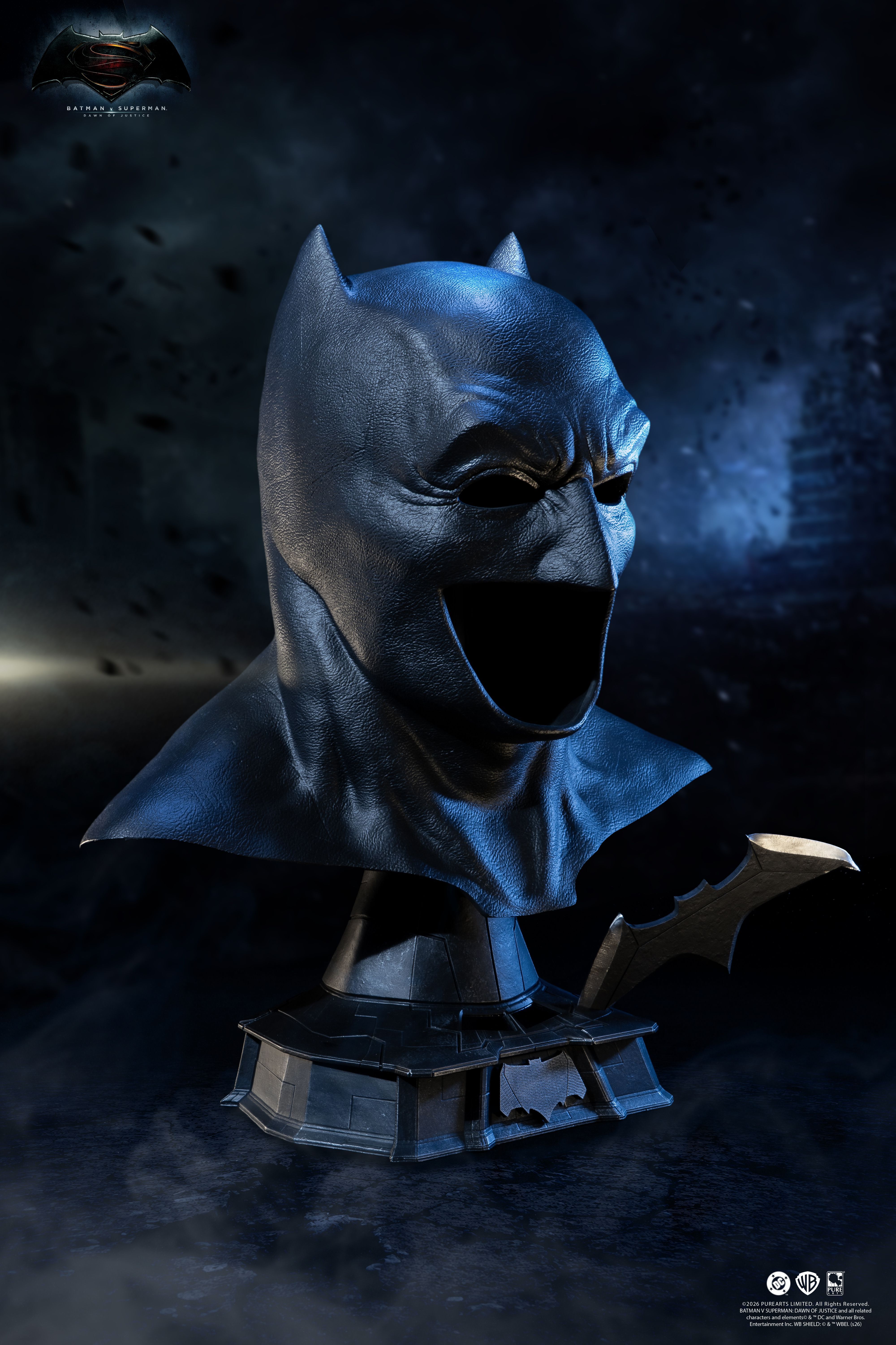 Batman Hooded Mask