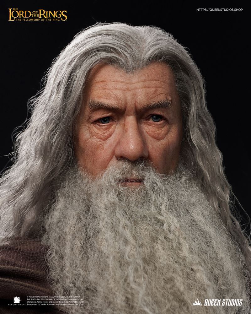 Gandalf - The Lord of  the Ring 1/3