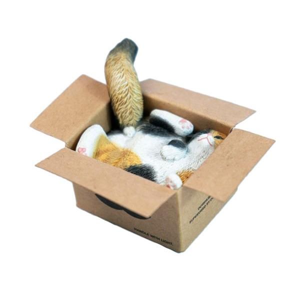 Cardboard Box Cat