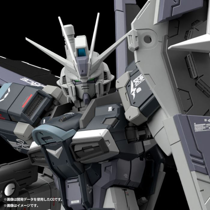 RG 1/144 Force Impulse Gundam Deactive Mode