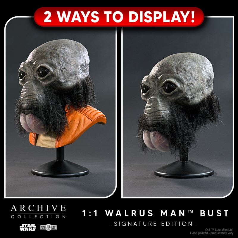 Walrus Man