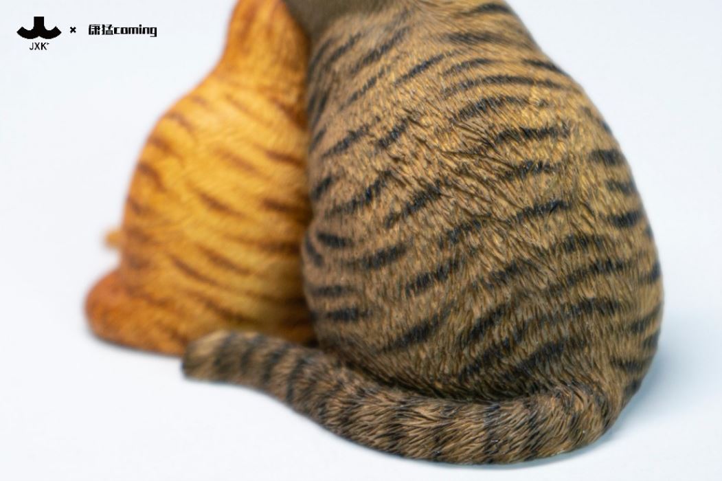 Cats Resting Among Stones