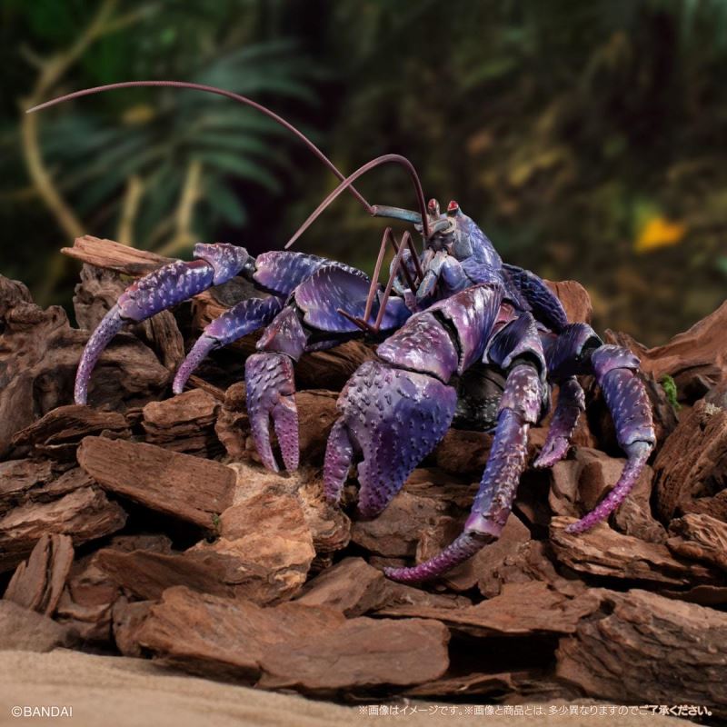 The Great Encyclopedia of Living Things Premium: Coconut Crab [Purple Color]