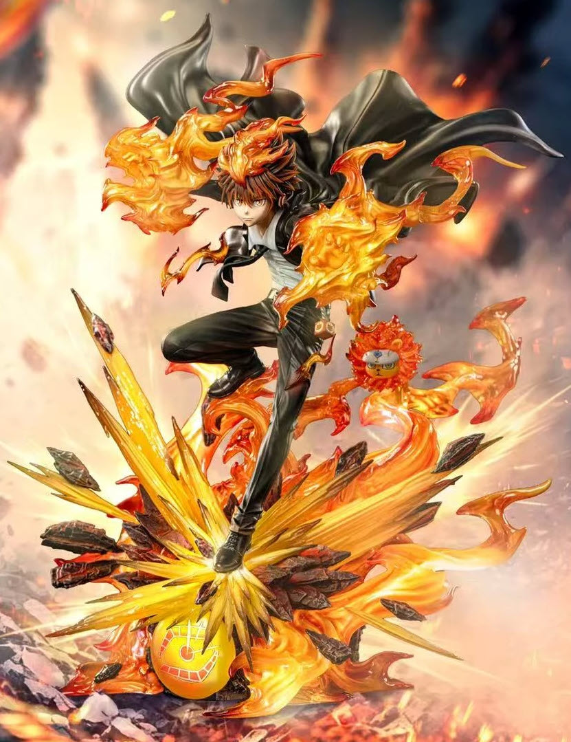 Tsunayoshi Sawada - Reborn