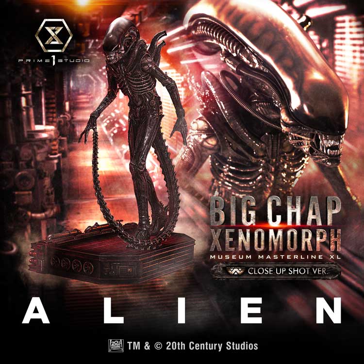 Alien Big Chap Xenomorph Close Up Shot Ver