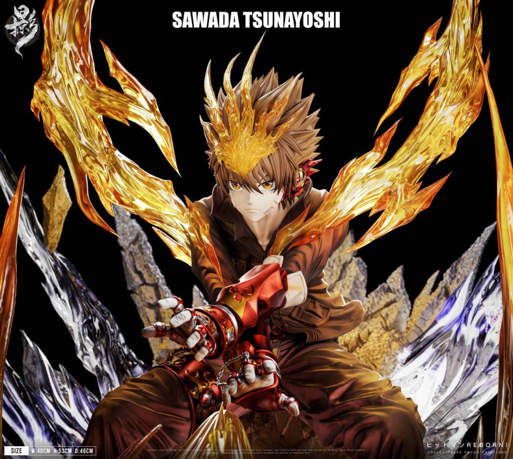 Sawada Tsunayoshi - Reborn 1/6