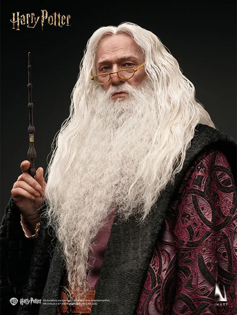 Albus Dumbledore - Harry Potter 1/6
