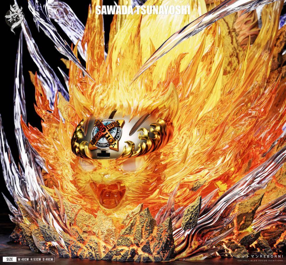 Sawada Tsunayoshi - Reborn 1/6