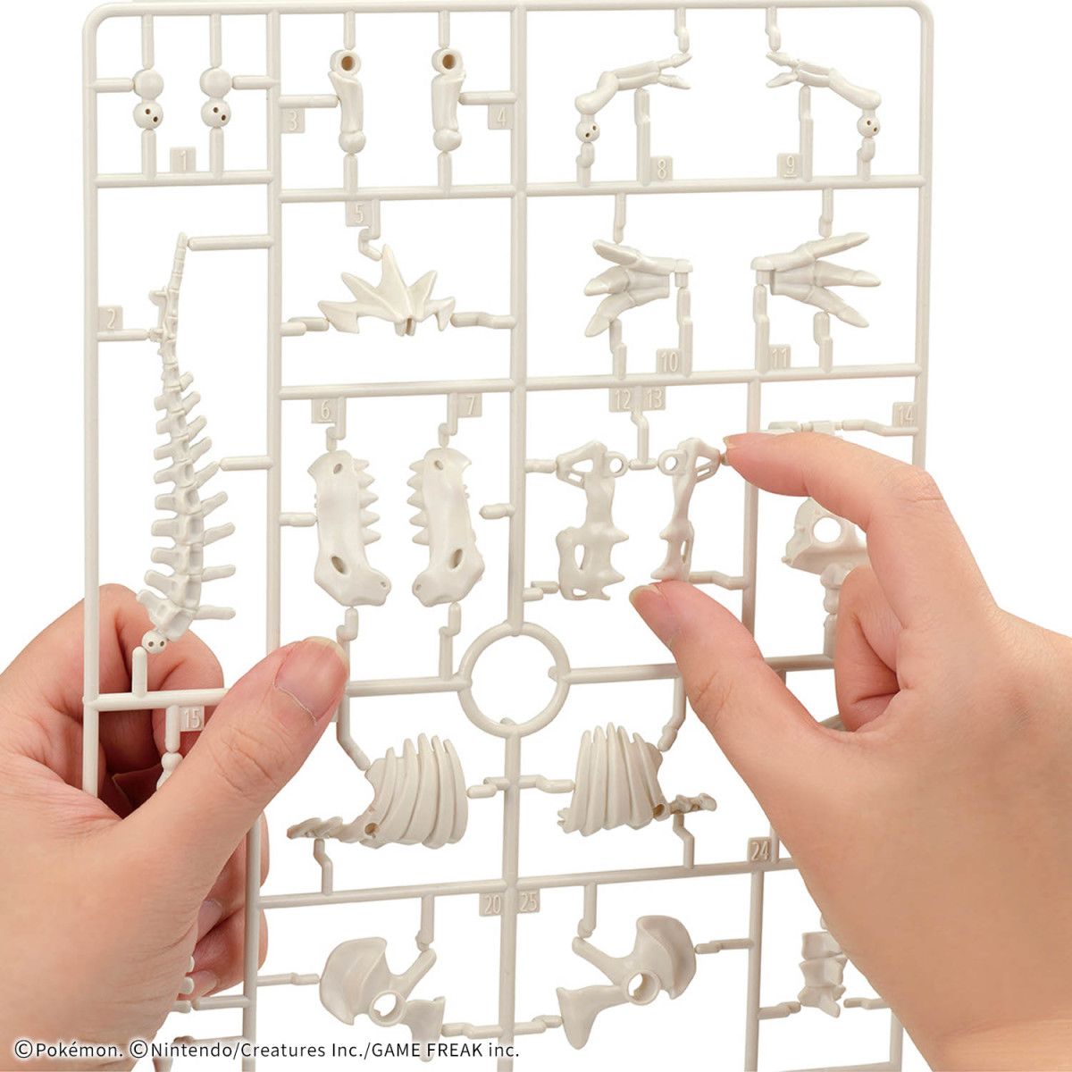 Fossil Pokemon Series Tyranitar