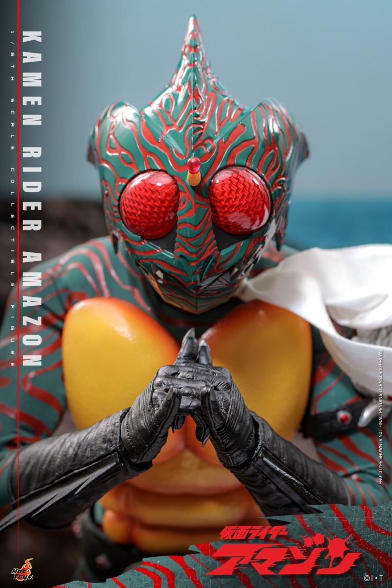 Kamen Rider Amazon 1/6
