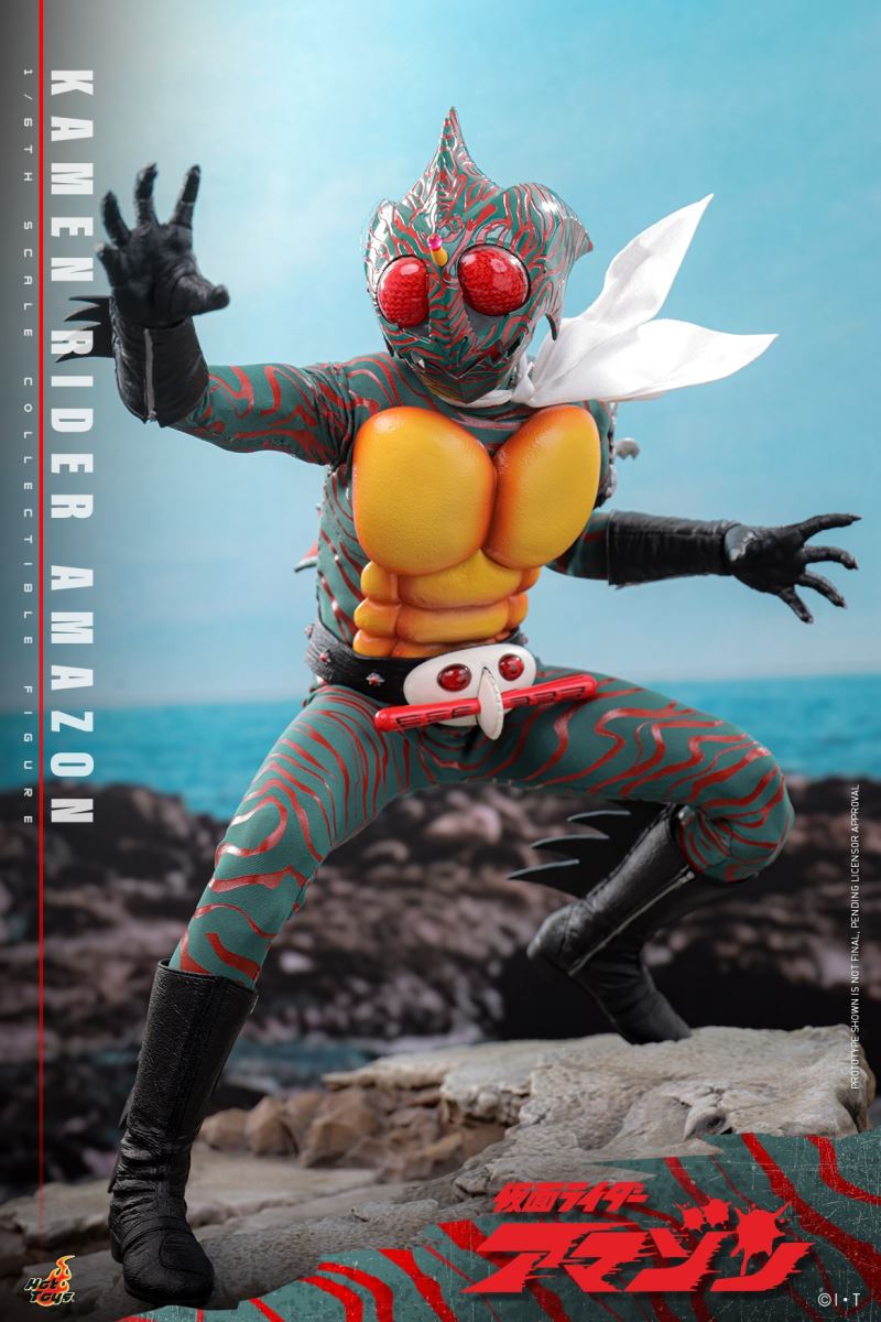 Kamen Rider Amazon 1/6