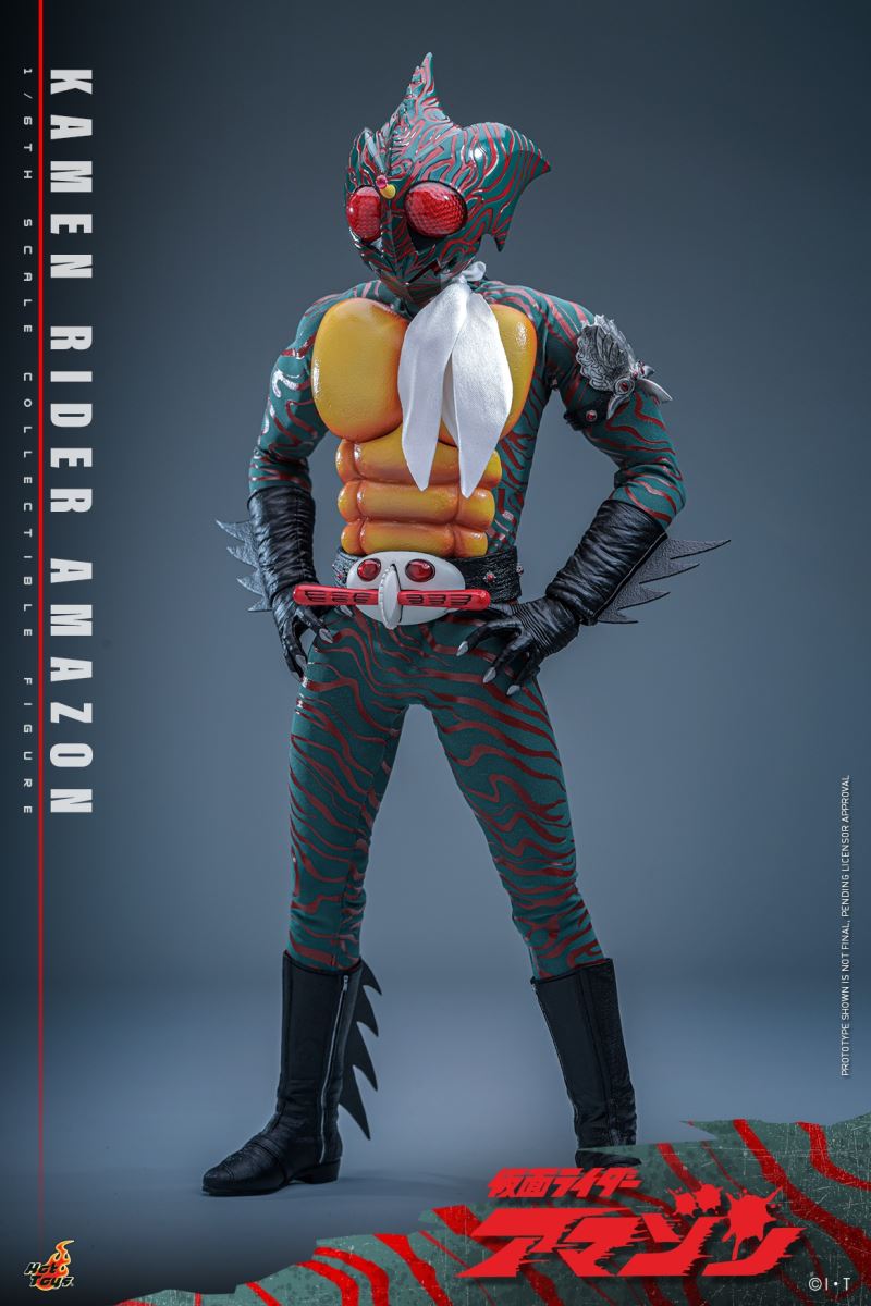 Kamen Rider Amazon 1/6