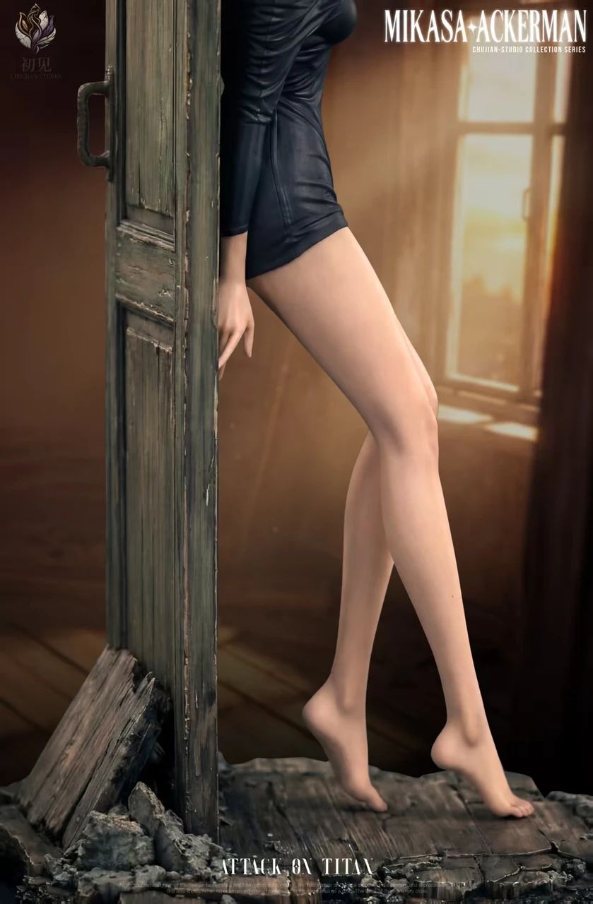 Mikasa Ackerman - Attack On Titan