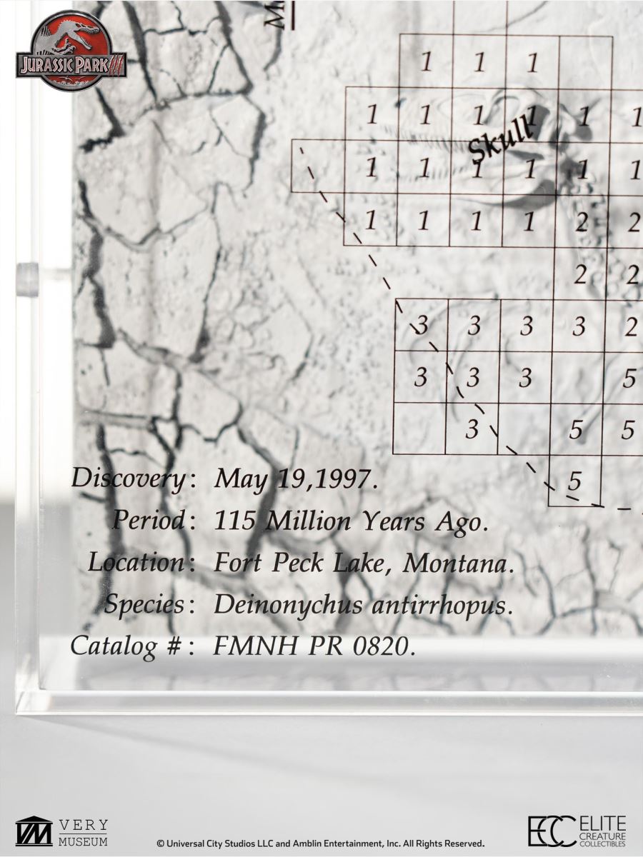 Velociraptor Excavation Map [Jurassic Park III]