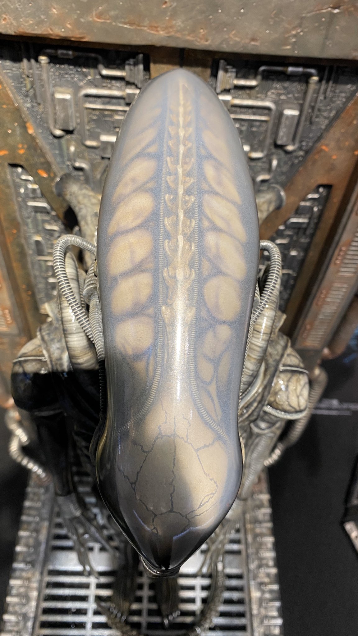 ชัด ๆ กับภาพถ่ายจากสินค้าจริงของ Alien & Predator ค่าย Prime1Studio