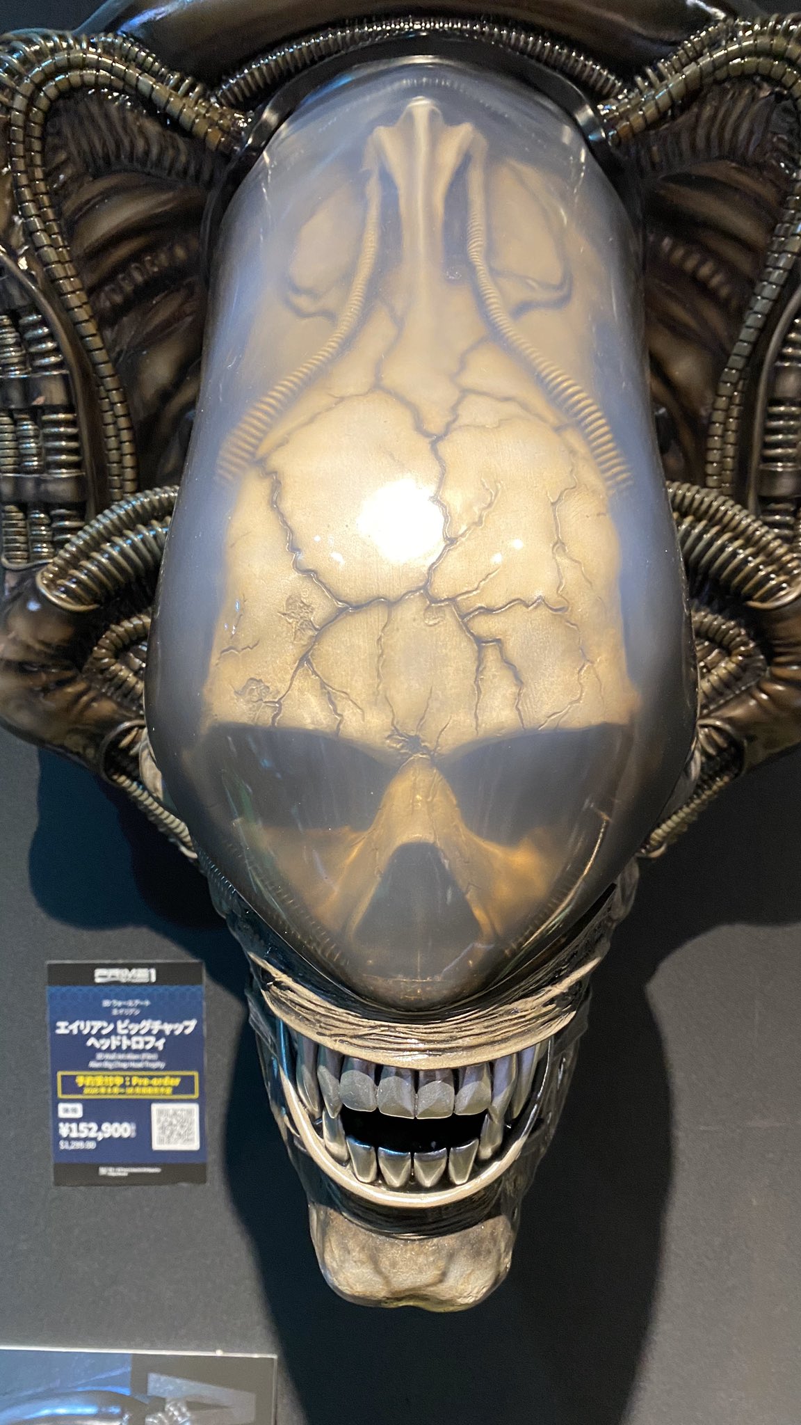 ชัด ๆ กับภาพถ่ายจากสินค้าจริงของ Alien & Predator ค่าย Prime1Studio