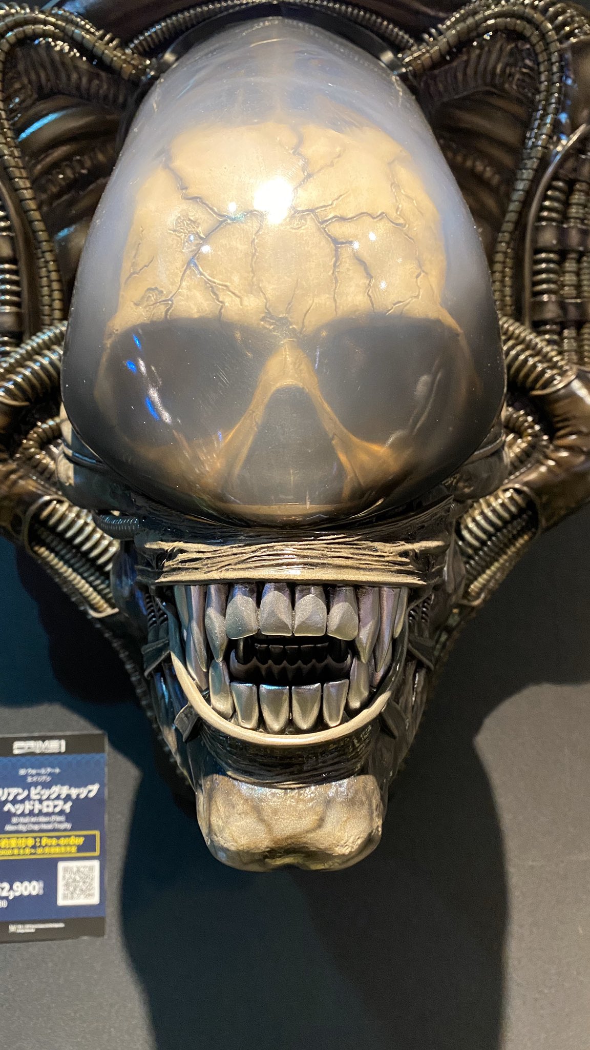 ชัด ๆ กับภาพถ่ายจากสินค้าจริงของ Alien & Predator ค่าย Prime1Studio