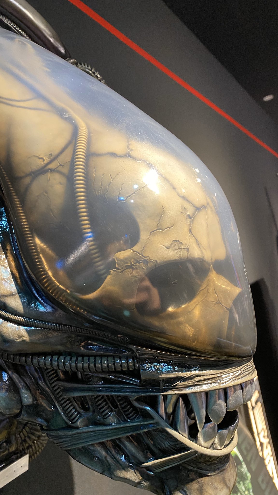 ชัด ๆ กับภาพถ่ายจากสินค้าจริงของ Alien & Predator ค่าย Prime1Studio