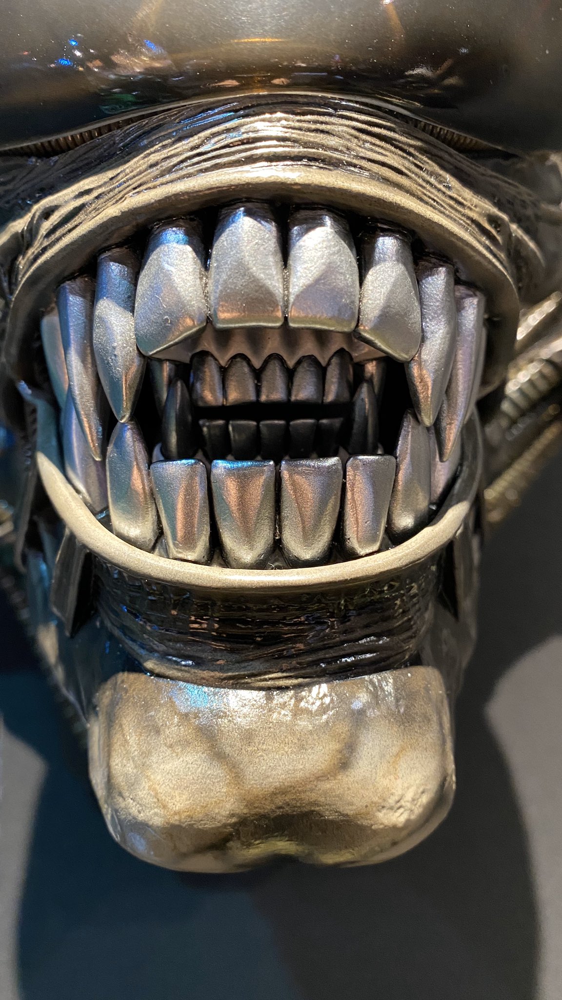 ชัด ๆ กับภาพถ่ายจากสินค้าจริงของ Alien & Predator ค่าย Prime1Studio