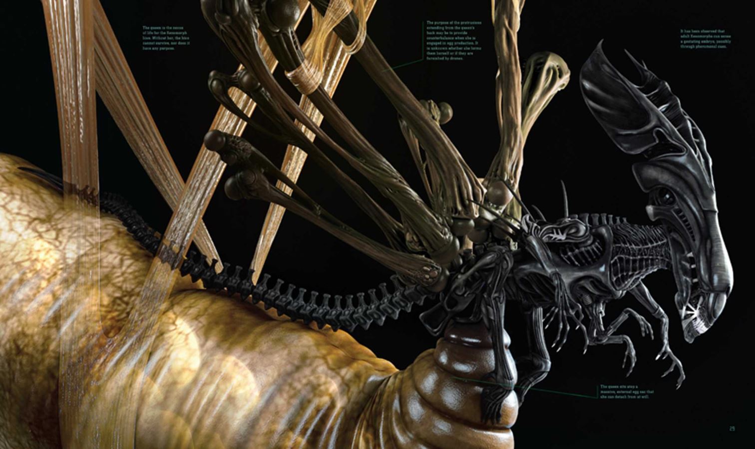 รีวิว Art book - Alien The Weyland - Yutani Report Collectors Edition