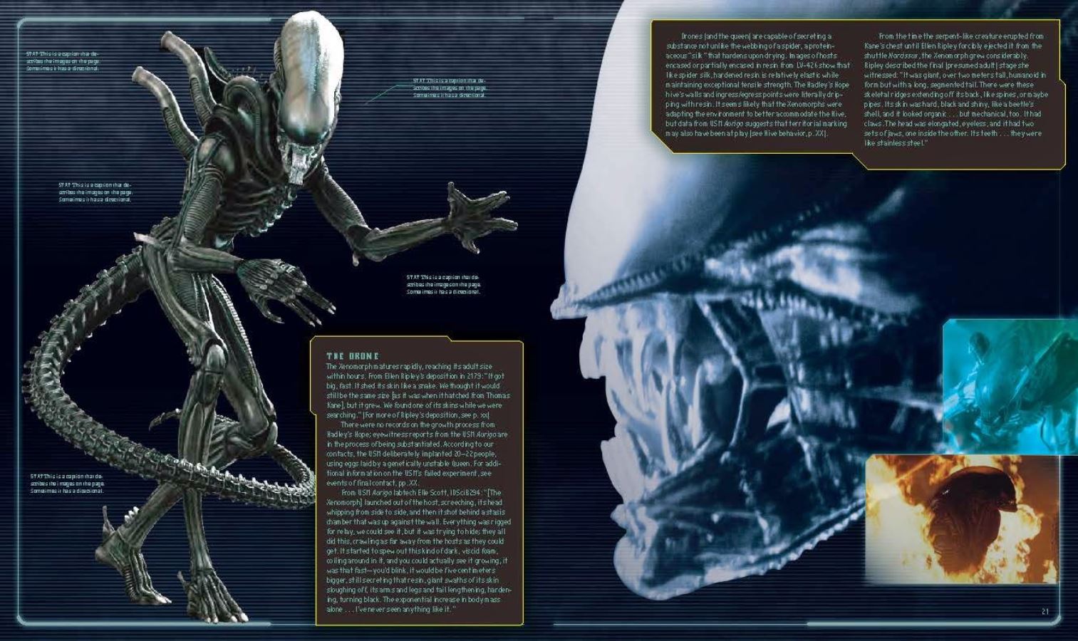 รีวิว Art book - Alien The Weyland - Yutani Report Collectors Edition