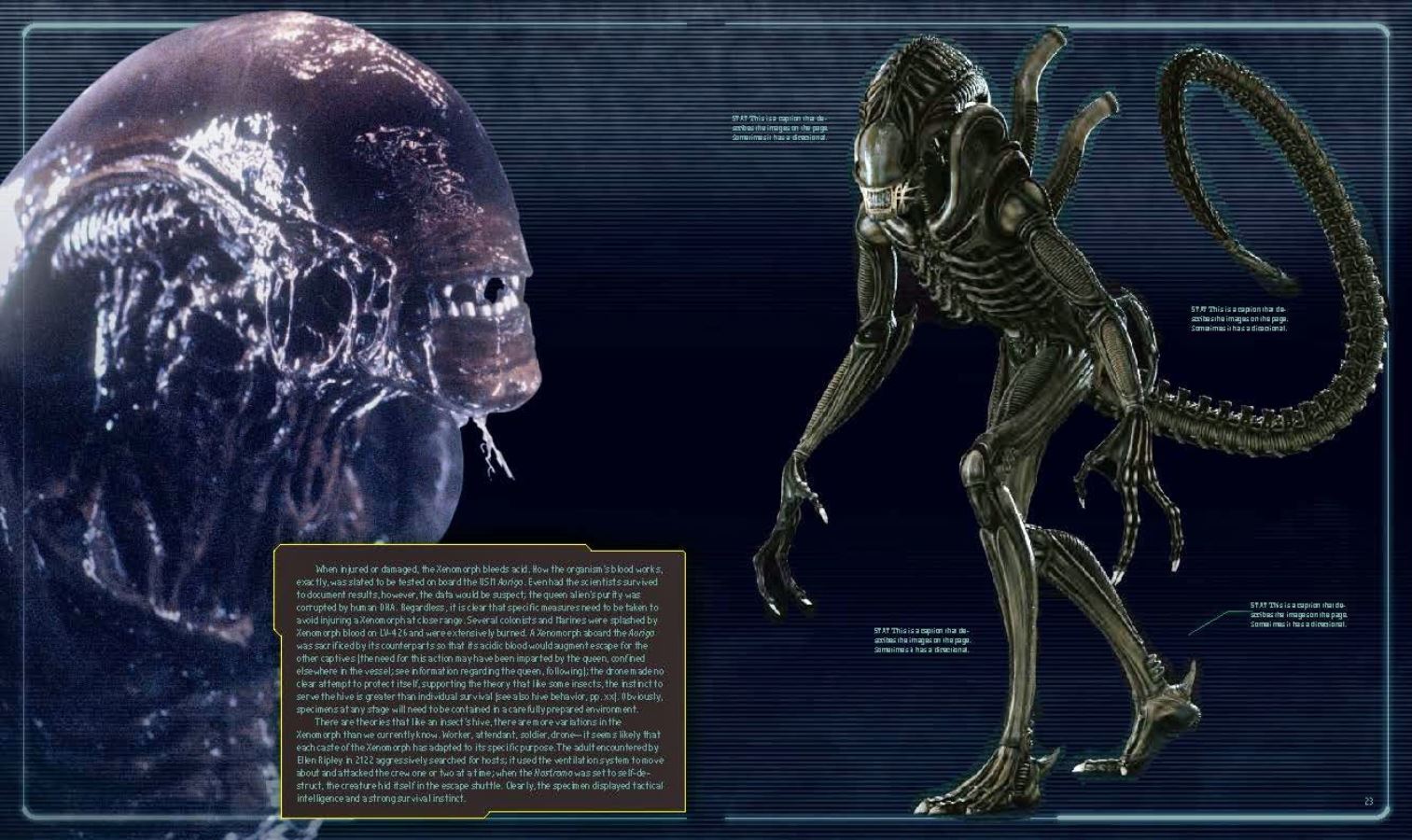 รีวิว Art book - Alien The Weyland - Yutani Report Collectors Edition