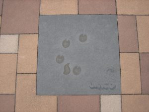 พาชมพิพิธภัณฑ์ที่สร้างขึ้นเพื่ออุทิศให้กับเท็ตซึกะ โอซามุ บิดาแห่งมังงะ