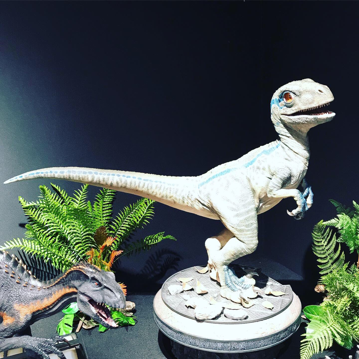 อลังการงานโชว์ กับธีมสวน Jurassic Park ที่จัดแสดงโชว์อยู่ที่ช็อป Prime1Studio ประเทศญี่ปุ่น